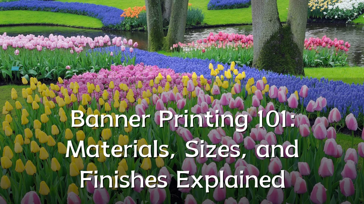 Banner Printing 101: Materials, Sizes, and Finishes Explained
