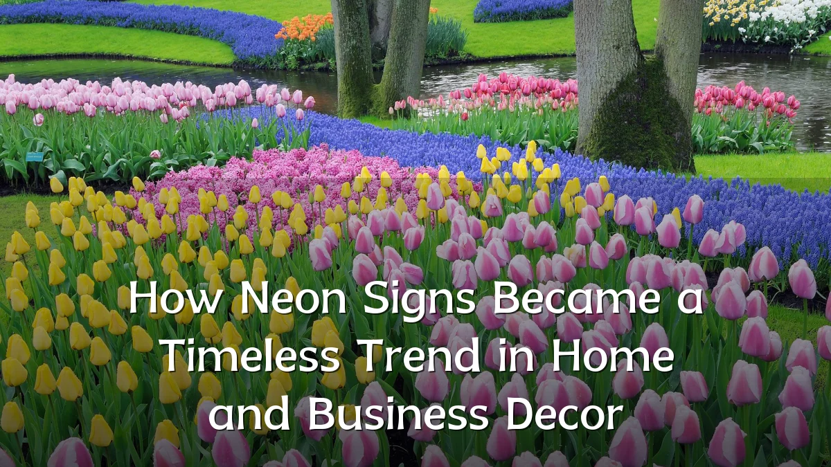 How Neon Signs Became a Timeless Trend in Home and Business Decor