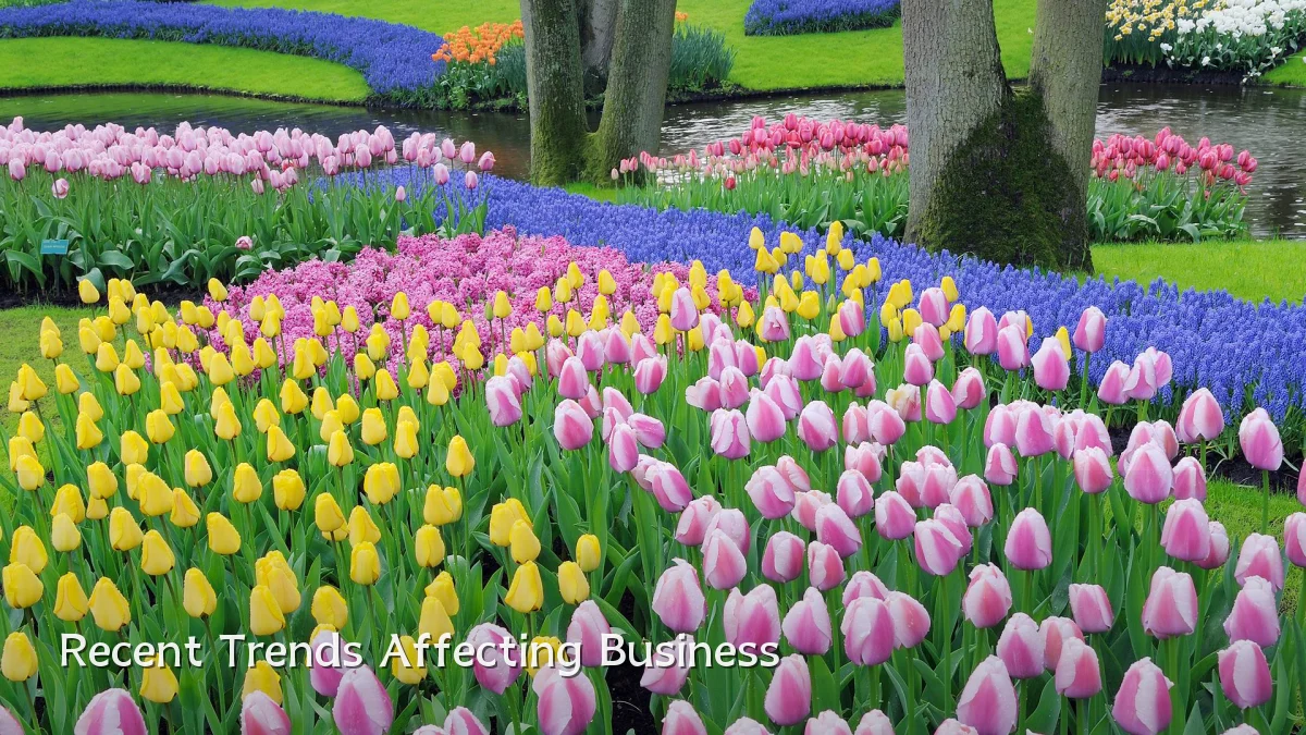 Recent Trends Affecting Business