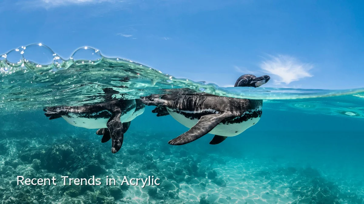 Recent Trends in Acrylic