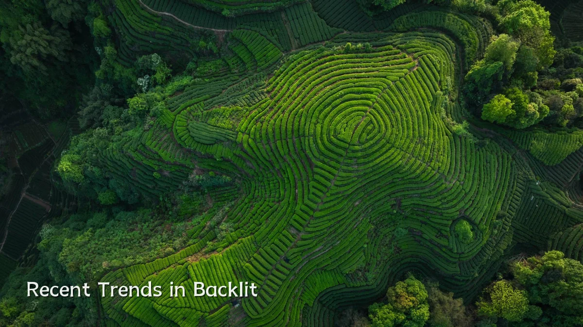 Recent Trends in Backlit