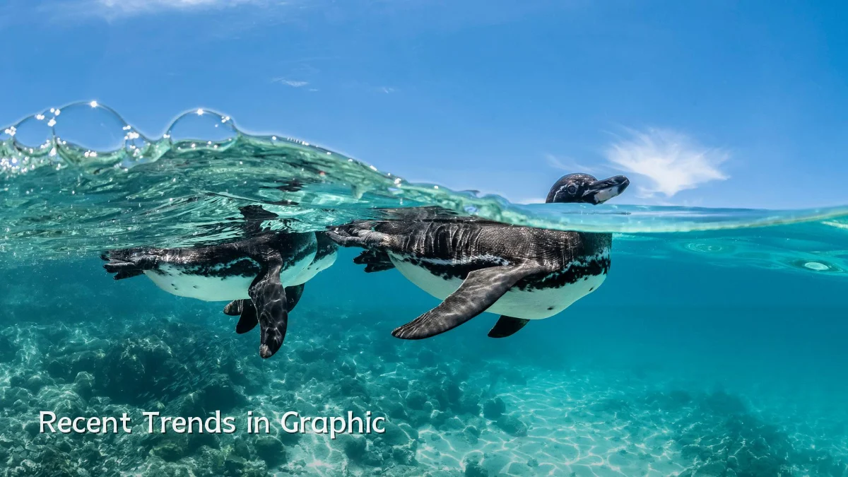 Recent Trends in Graphic