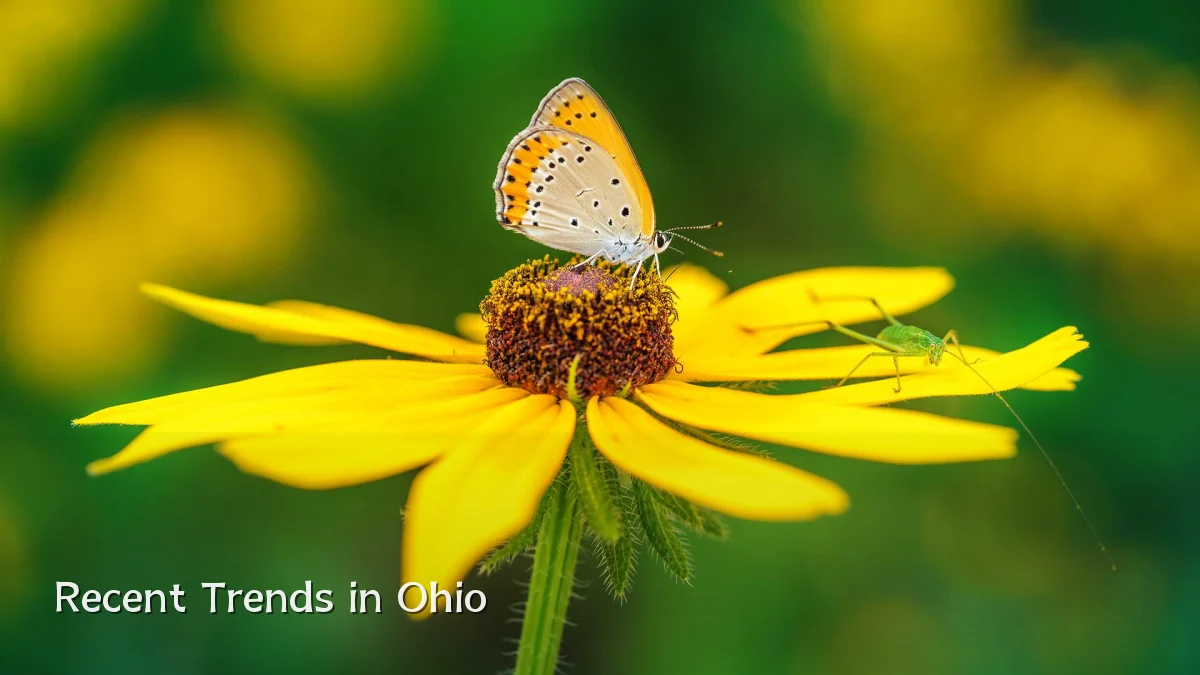 Recent Trends in Ohio