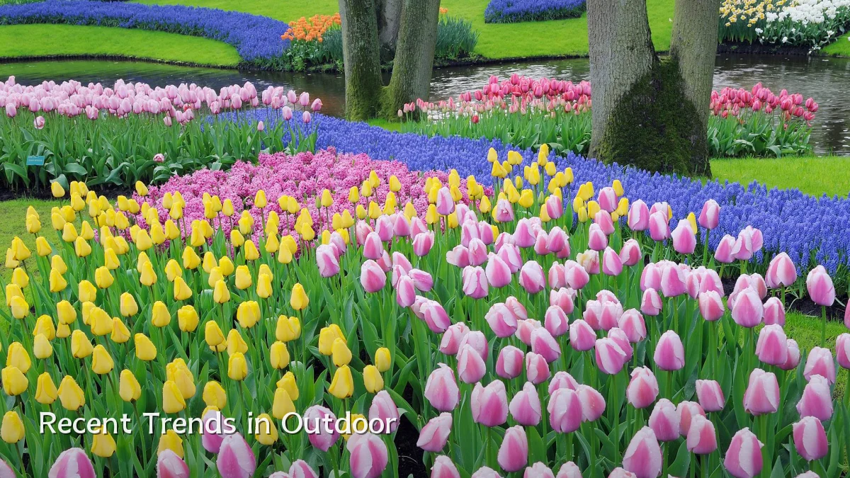 Recent Trends in Outdoor