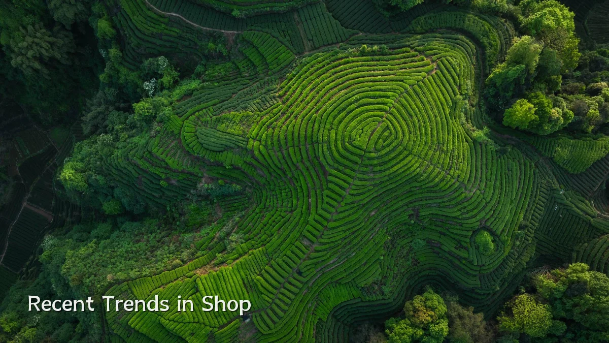 Recent Trends in Shop
