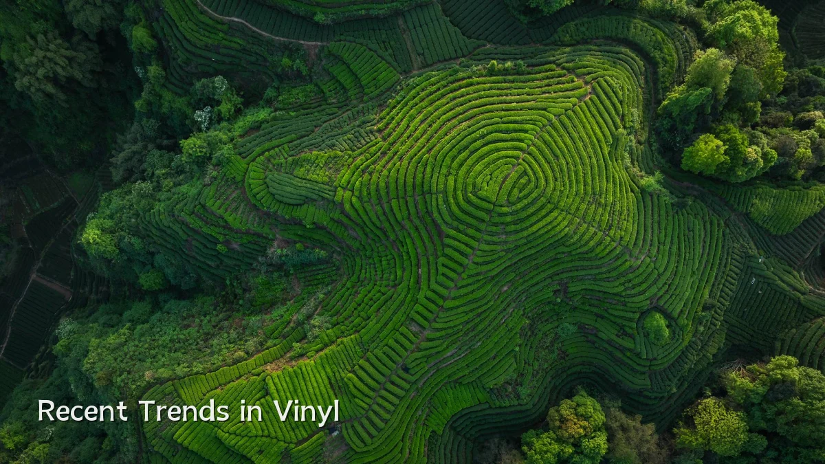 Recent Trends in Vinyl