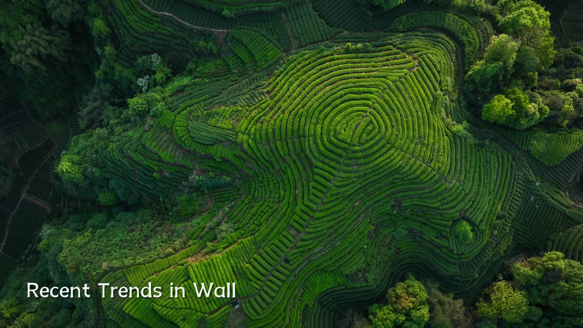 Recent Trends in Wall
