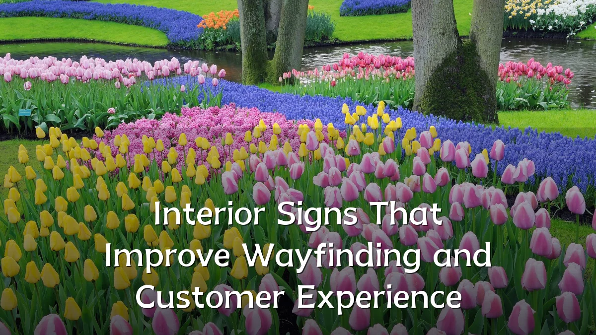 Interior Signs That Improve Wayfinding and Customer Experience