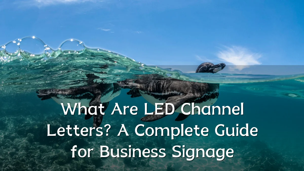 What Are LED Channel Letters? A Complete Guide for Business Signage