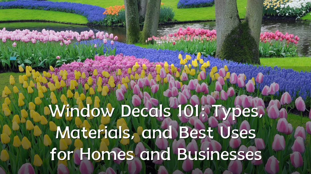 Window Decals 101: Types, Materials, and Best Uses for Homes and Businesses